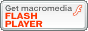 FLASH�v���C���[�_�E�����[�h